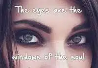 The eyes are the window of the soul meaning in English