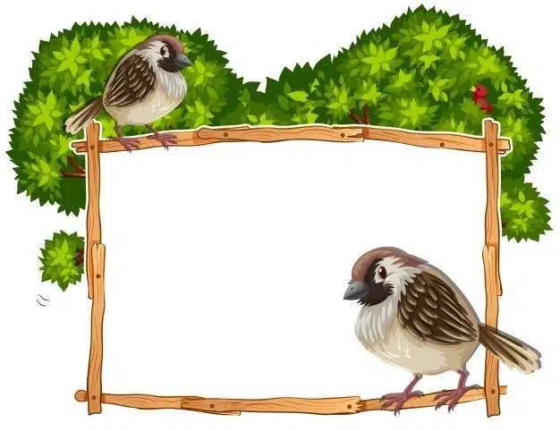 frame template with two sparrows 1308 31092