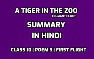 A Tiger in the Zoo- Central Idea of the Poem & Style
