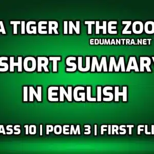 A Tiger in the Zoo short summary