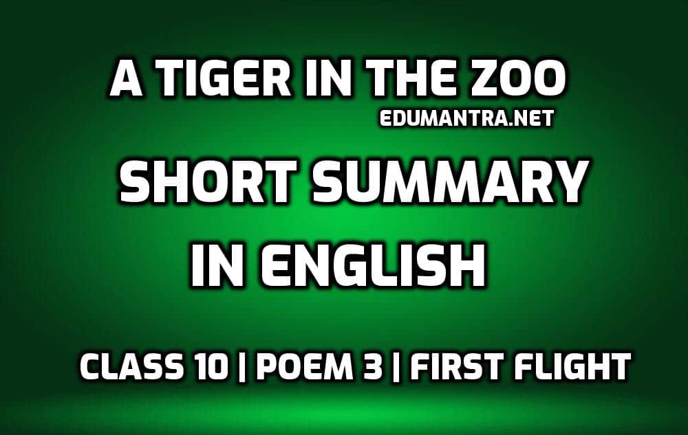 A Tiger in the Zoo short summary