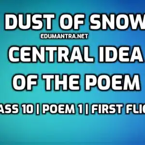 Dust of Snow- Central Idea of the Poem edumantra.net