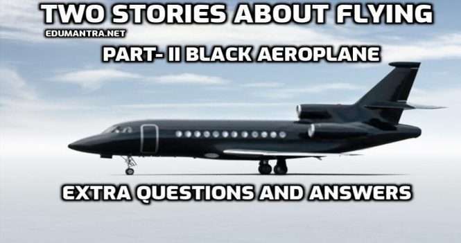 Two Stories About Flying Part 2 Extra Questions and Answers