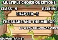 The Snake and The Mirror MCQ