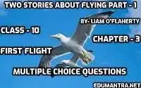Two Stories about Flying MCQ