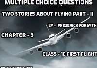 Two Stories about Flying MCQ
