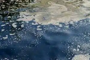 How To Write An Editorial And How To Write Letter To The Editor Along With Letter To Editor Of Newspaper 7 5fab863743244