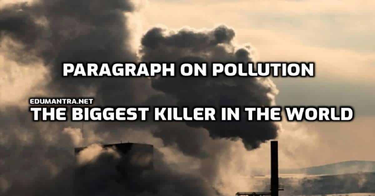 A Paragraph on Pollution