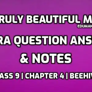 A Truly Beautiful Mind Extra Questions and Notes edumantra.net