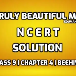 A Truly Beautiful Mind - NCERT SOLUTION edumantra.net