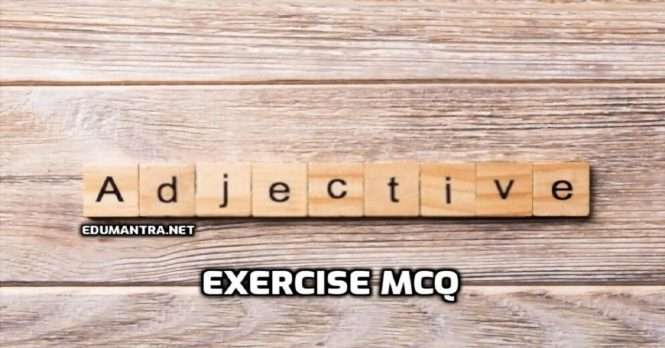 Adjective Exercise MCQ