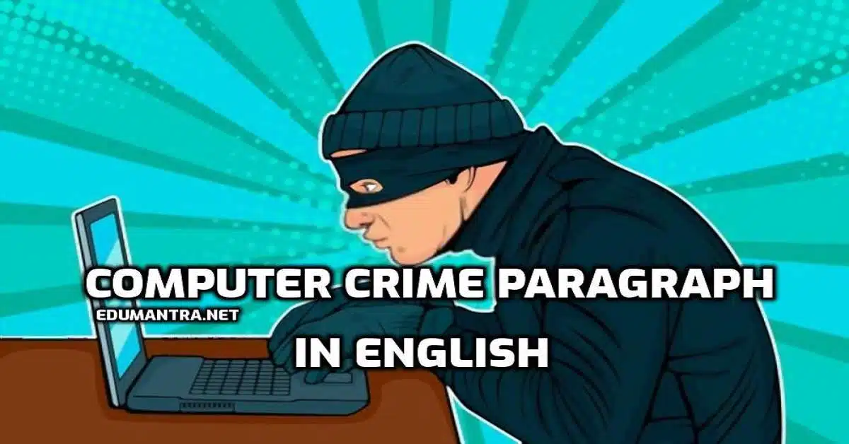 Computer Crime Paragraph