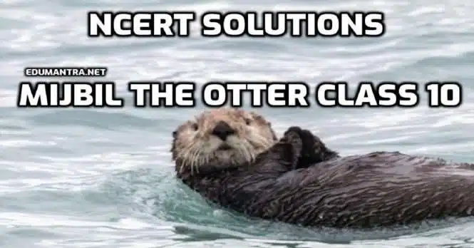 Mijbil the Otter NCERT Solutions Class 10