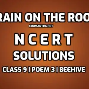 Rain on the Roof NCERT Solutions edumantra.net