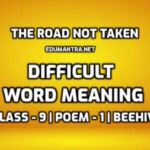 The Road Not Taken Word Meaning with Hindi