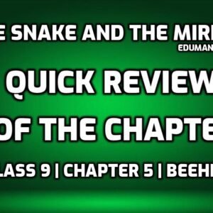 The Snake and the Mirror Quick Review edumantra.net