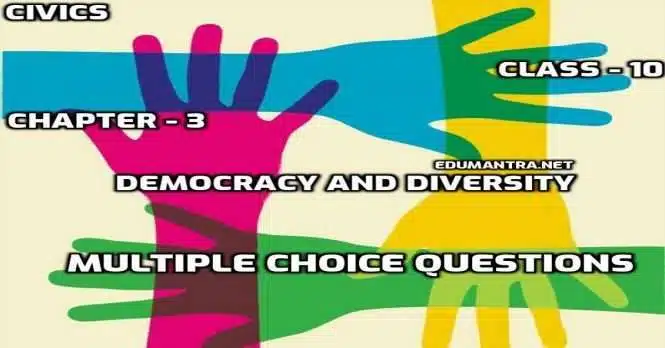 Class 10 Social Science Chapter - 3 Democracy and Diversity Civics MCQ Test
