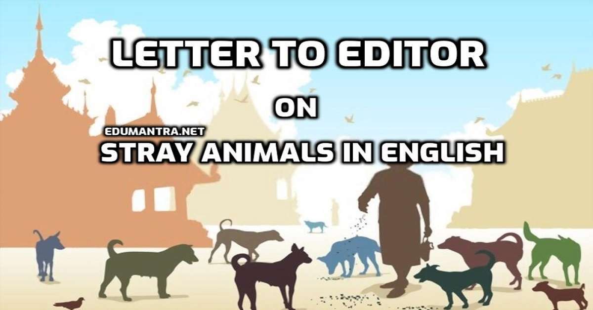 Letter to Editor on Stray Animals in English