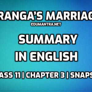 Ranga’s Marriage- Summary in english