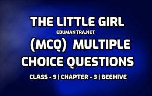 The Little Girl MCQ with Answers edumantra.net