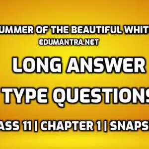 The Summer of the Beautiful White Horse Long Answer Typse Questions