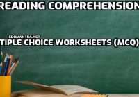 Reading Comprehension Multiple Choice Worksheets (MCQ) PDF