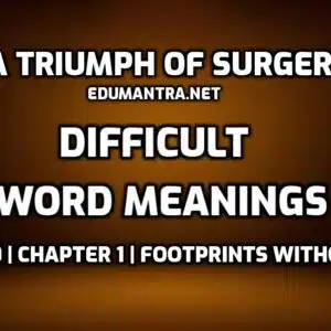 A Triumph of Surgery Word Meaning with Hindi