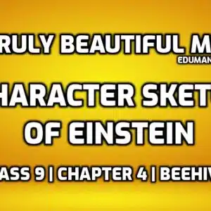 A Truly Beautiful Mind Character Sketch edumantra.net