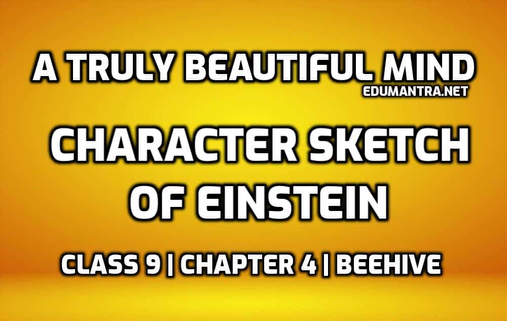 Class  11th  Character Sketch of Albert Einstein  Snapshots   YouTube