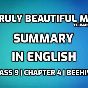 A Truly Beautiful Mind Summary in English edumantra.net