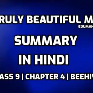 A Truly Beautiful Mind Summary in Hindi edumantra.net