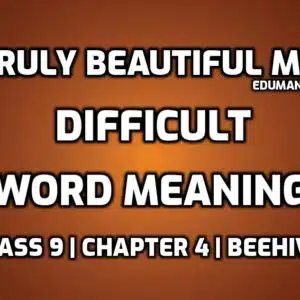 A Truly Beautiful Mind Word Meaning with Hindi