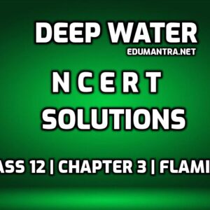 Deep Water NCERT Solutions edumantra.net