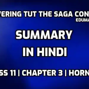 Discovering Tut the Saga Continues Hindi Summary edumantra.net