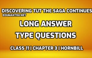 Discovering Tut the Saga Continues Long Answer
