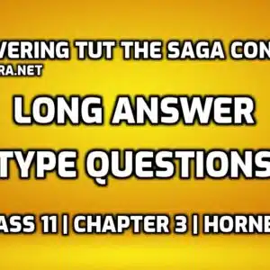 Discovering Tut the Saga Continues Long Answer