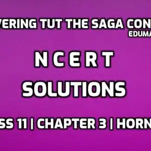 Discovering Tut the Saga Continues NCERT Solution edumantra.net