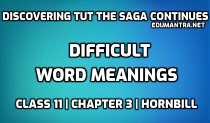 Discovering Tut the Saga Continues Word Meaning edumantra.net