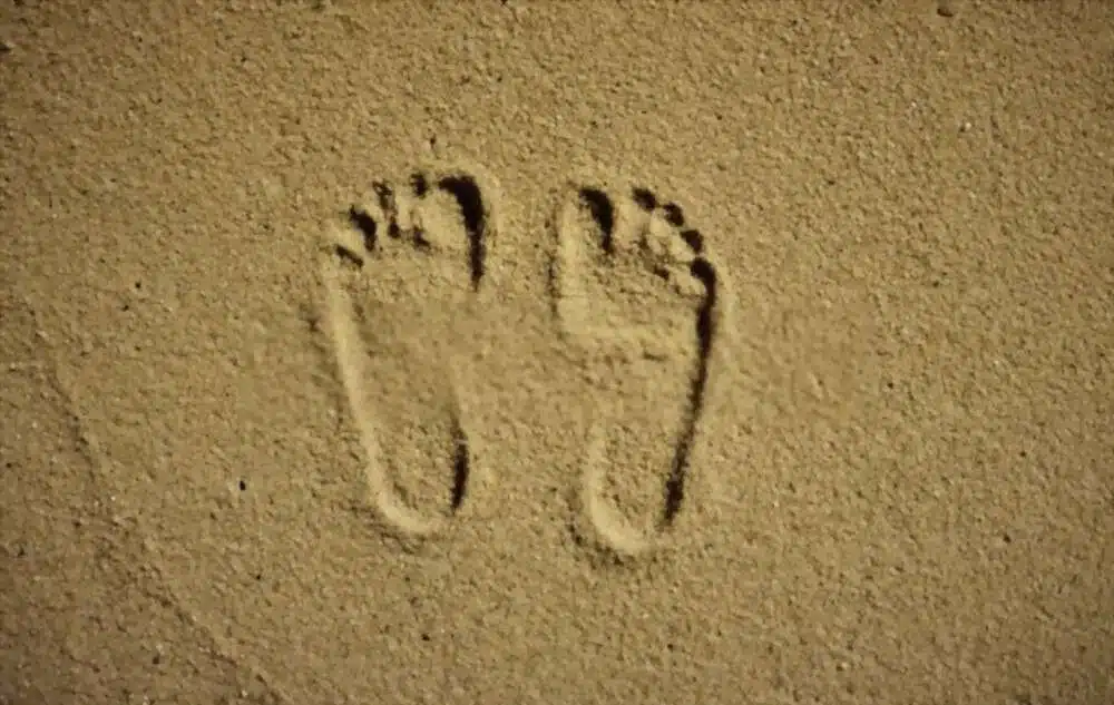 Footprints Without Feet Summary in Hindi