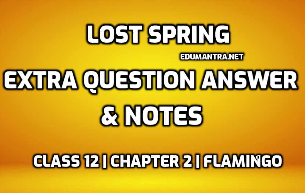 lost-spring-extra-questions-board-material
