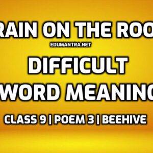 Rain on the Roof Word Meaning with Hindi