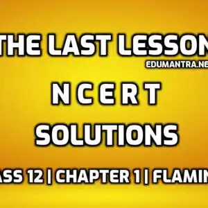 The Last Lesson NCERT Solutions edumantra.net