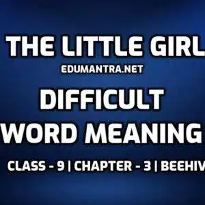 The Little Girl Word Meaning with Hindi