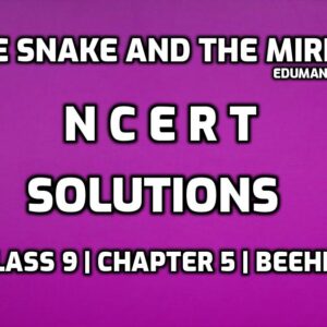 The Snake and The Mirror NCERT Solutions edumantra.net