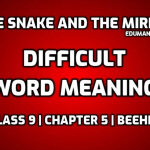 The Snake and the Mirror Word Meaning with Hindi