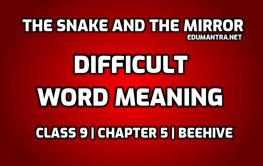 The Snake And The Mirror Word Meaning Very Important