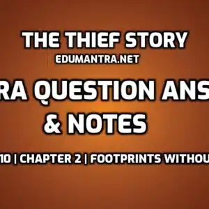 The Thief Story Extra Questions edumantra.net
