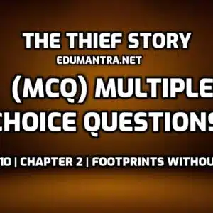 The Thief Story MCQ edumantra.net