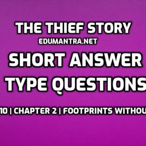 The Thief Story Short Question Answer edumantra.net