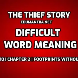 The Thief Story Word Meaning edumantra.net